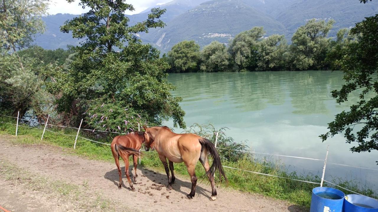 Luxury Villa Sleep 6 Close To Lake Of Como Traona Εξωτερικό φωτογραφία